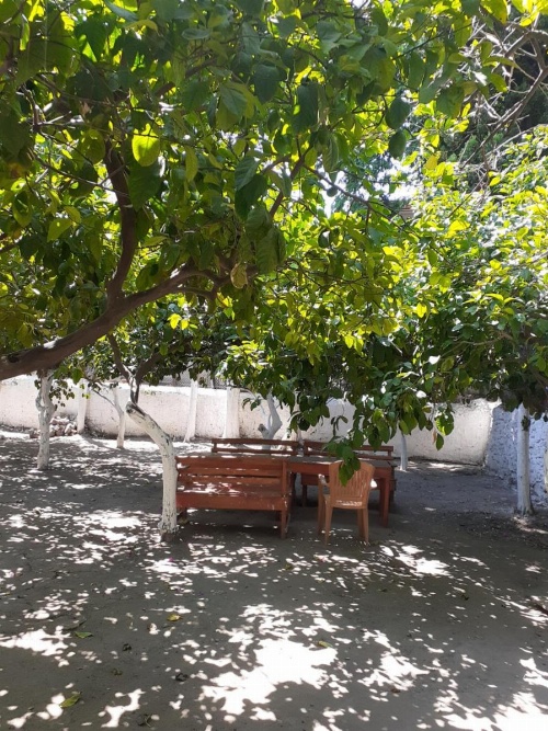 Küçük Aile Pansiyonu image 32